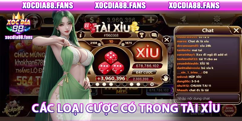 Các loại cược cơ bản trong Tài Xỉu Xocdia88