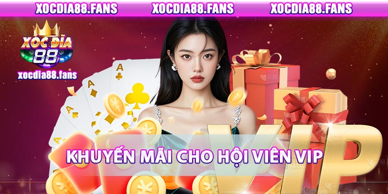 Khuyến mãi ưu đãi vàng cho thành viên VIP